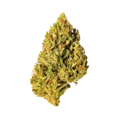 Amnesia Haze - Greenhouse Slow Weed