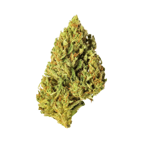 Amnesia Haze - Greenhouse Slow Weed