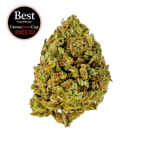 Arancia tonic - Greenhouse Slow Weed