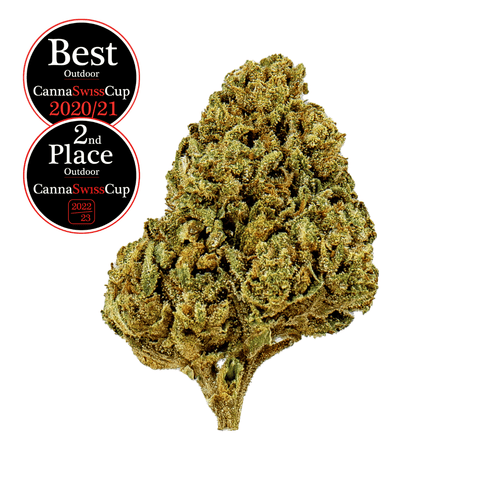 Arancia Tonic - Outdoor