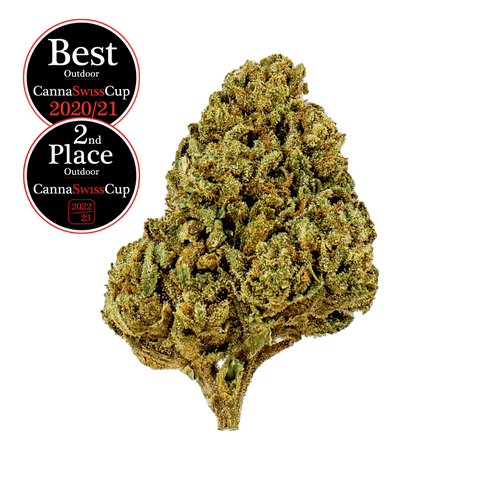 Arancia Tonic - Outdoor Slow Weed