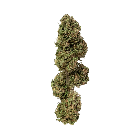 Arancia Muffin - Outdoor Slow Weed