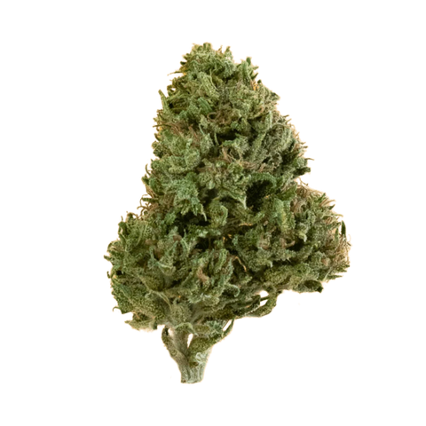 CBDV #2