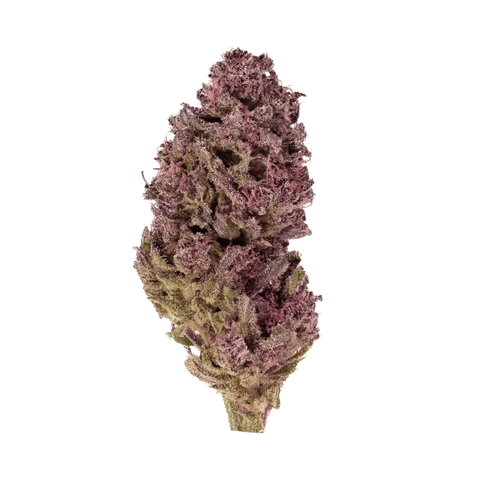 CBDV #1 (Purple)