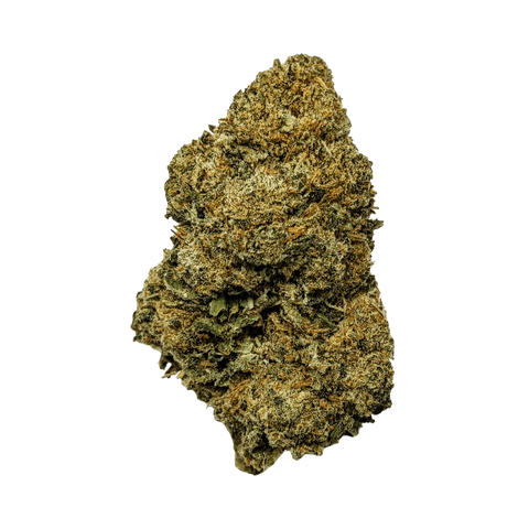 Caramel - Outdoor