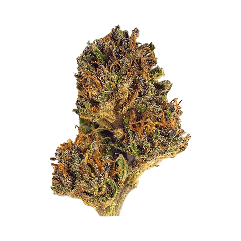 Lemon Q - Outdoor