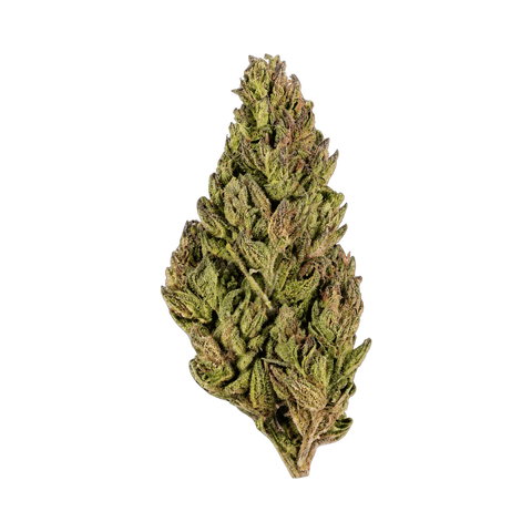 Mango Berry - Outdoor Slow Weed