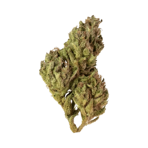 Mango Lemon - Greenhouse