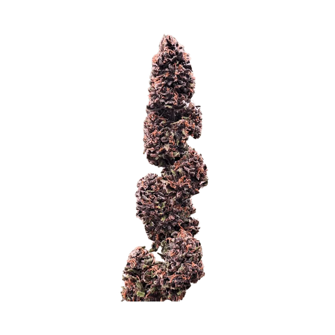 Purple OG - Outdoor