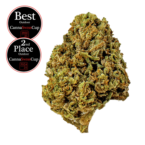 Saparot - Outdoor Slow Weed