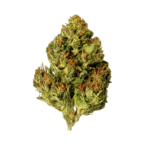 Sour Citrus - Outdoor