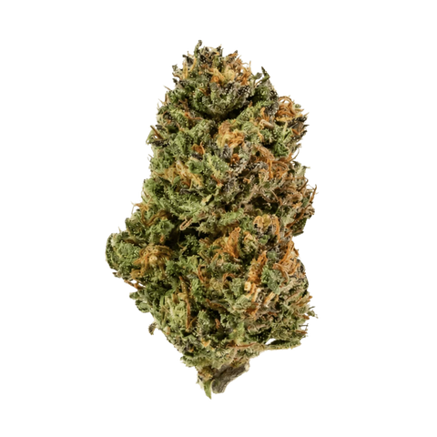 Strawberry Cream - Outdoor Slow Weed