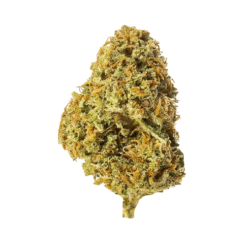 Super Silver Haze - Outdoor Slow Weed