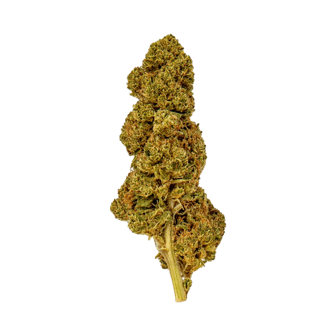 Tangerine - Outdoor Slow Weed