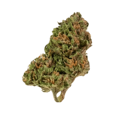 Tropic Nut - Outdoor Slow Weed