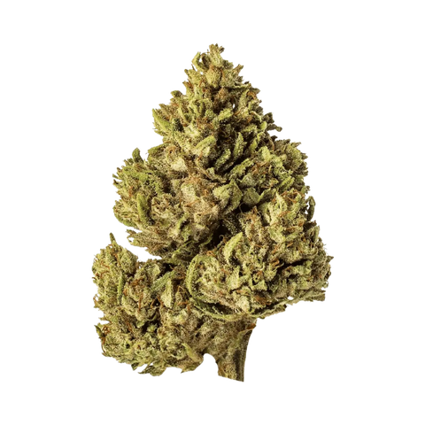 White Rhino CBG
