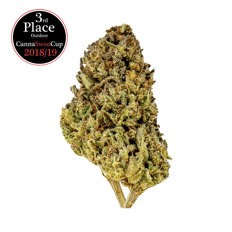 White Russian - Outdoor Slow Weed