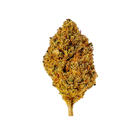 Gelato - Serra