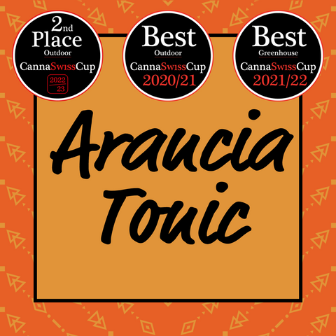 Degustazione Verticale - Arancia Tonic