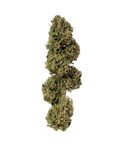 Arancia Muffin - Outdoor Slow Weed