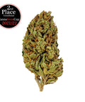 Degustazione Orizzontale - Cookies Kush Slow Weed