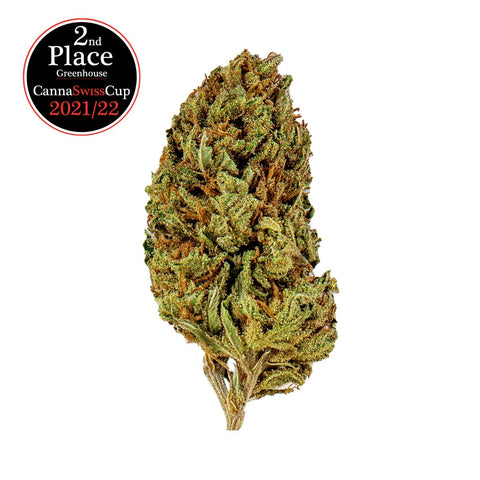 Degustazione Orizzontale - Cookies Kush Slow Weed