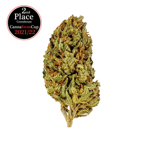 Cookies Kush - Greenhouse Slow Weed