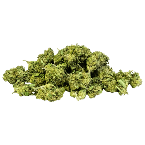 Durban Poison - Greenhouse Slow Weed