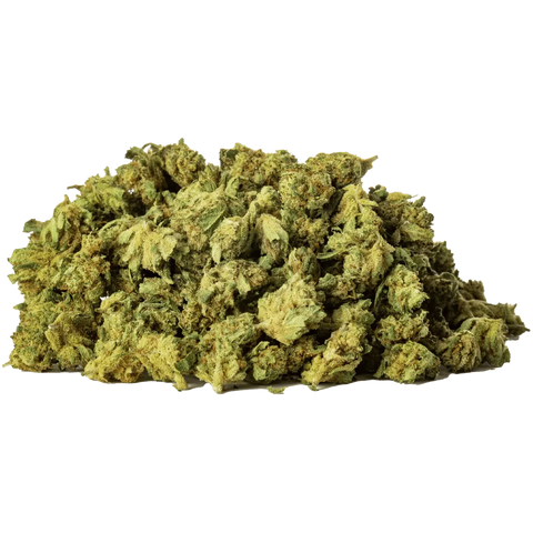 Limoncello - Greenhouse Slow Weed