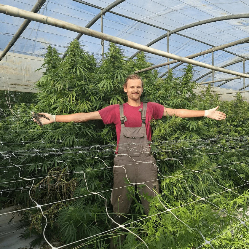 Serre naturali Slow Weed