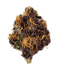 Orange Purple - Outdoor Slow Weed