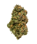 Strawberry Cream - Outdoor Slow Weed