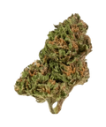 Tropic Nut - Outdoor Slow Weed